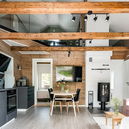 Himos Stonelake - Two Saunas And A Hot Tub Villa