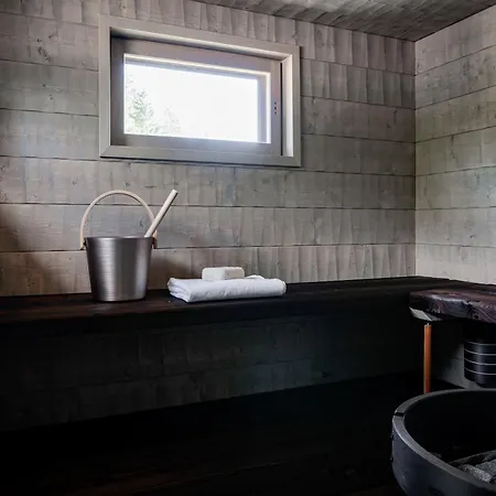 Himos Stonelake - Two Saunas And A Hot Tub Villa