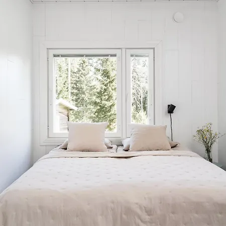 Himos Stonelake - Two Saunas And A Hot Tub Jämsä