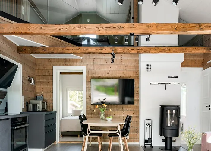 Himos Stonelake - Two Saunas And A Hot Tub Villa