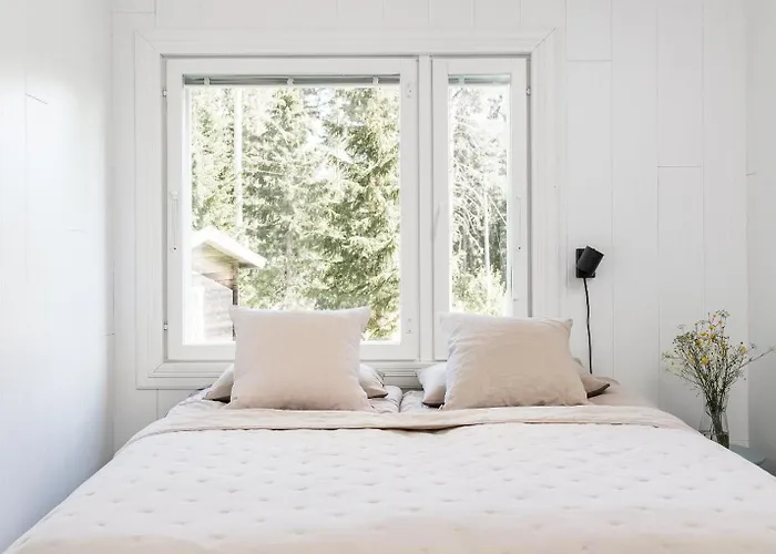 Himos Stonelake - Two Saunas And A Hot Tub Jämsä